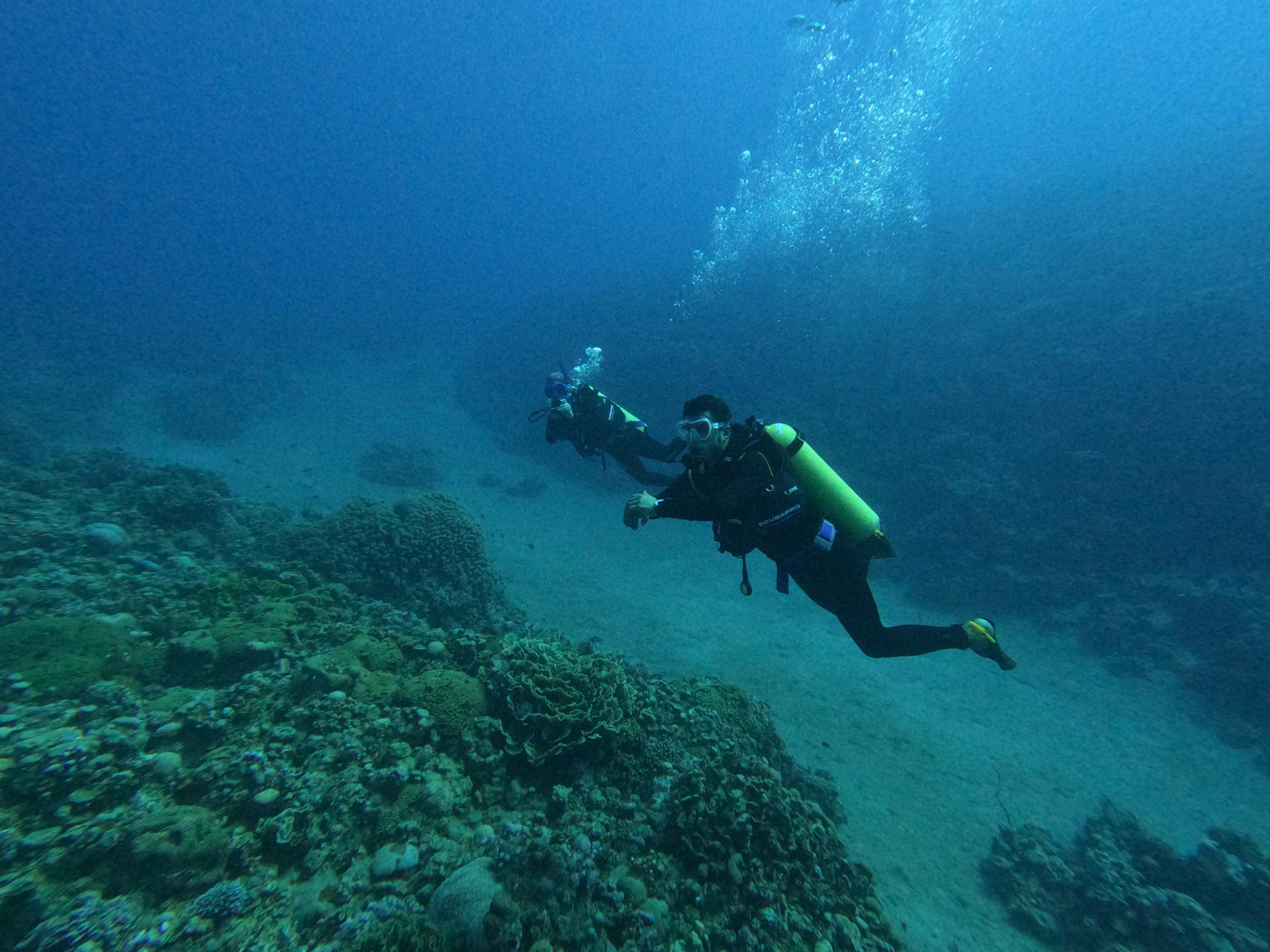 مجموعة موانئ أبوظبي تعقد ورشة عمل حول الأنظمة البيئية البحرية في البحر الأحمر والخليج العربي