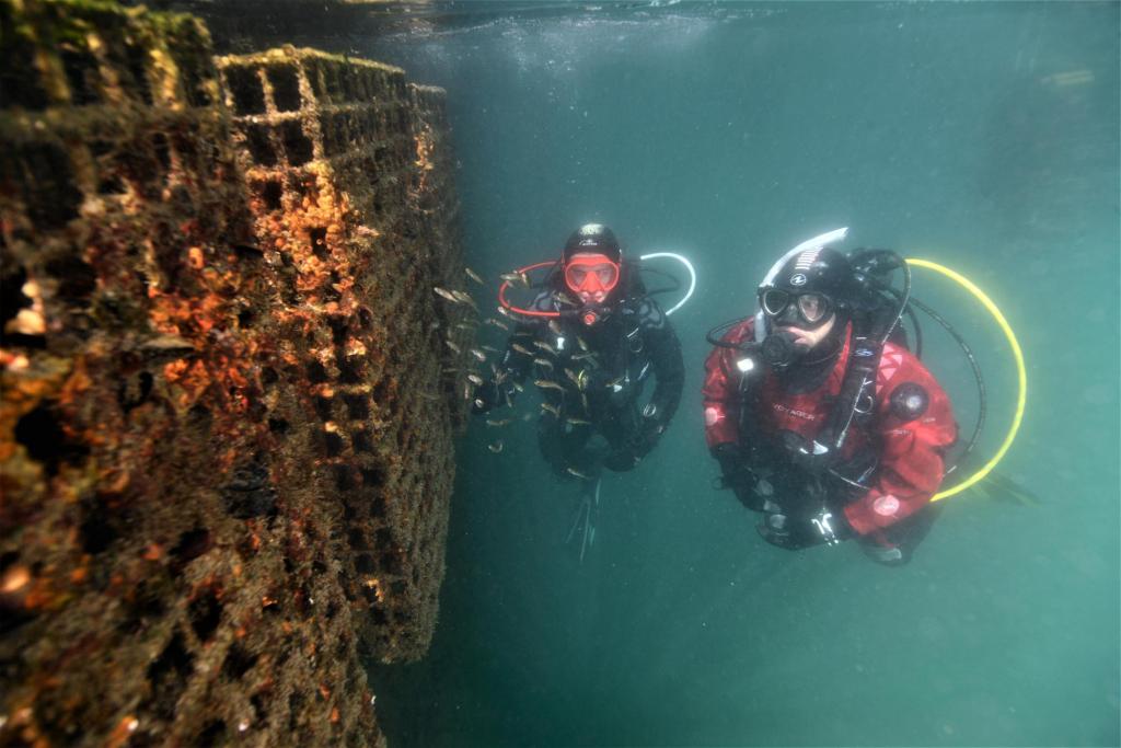 AD Ports Group and CMA CGM join forces with Ecocean to Preserve Marine Biodiversity at Khalifa Port
