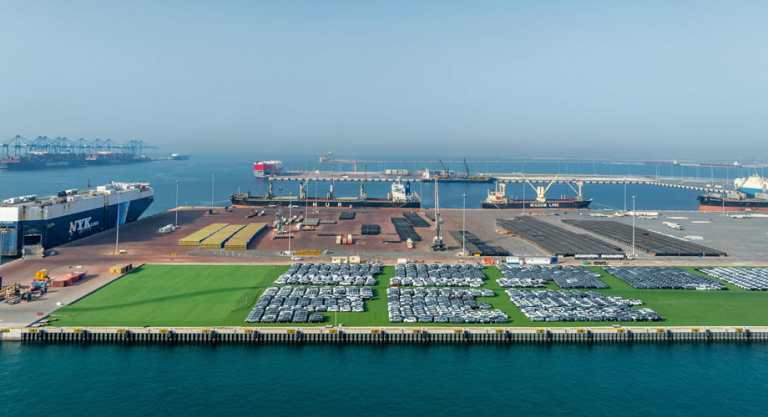 Ro-Ro-Vehicle-Volumes-at-Autoterminal-Khalifa-Port
