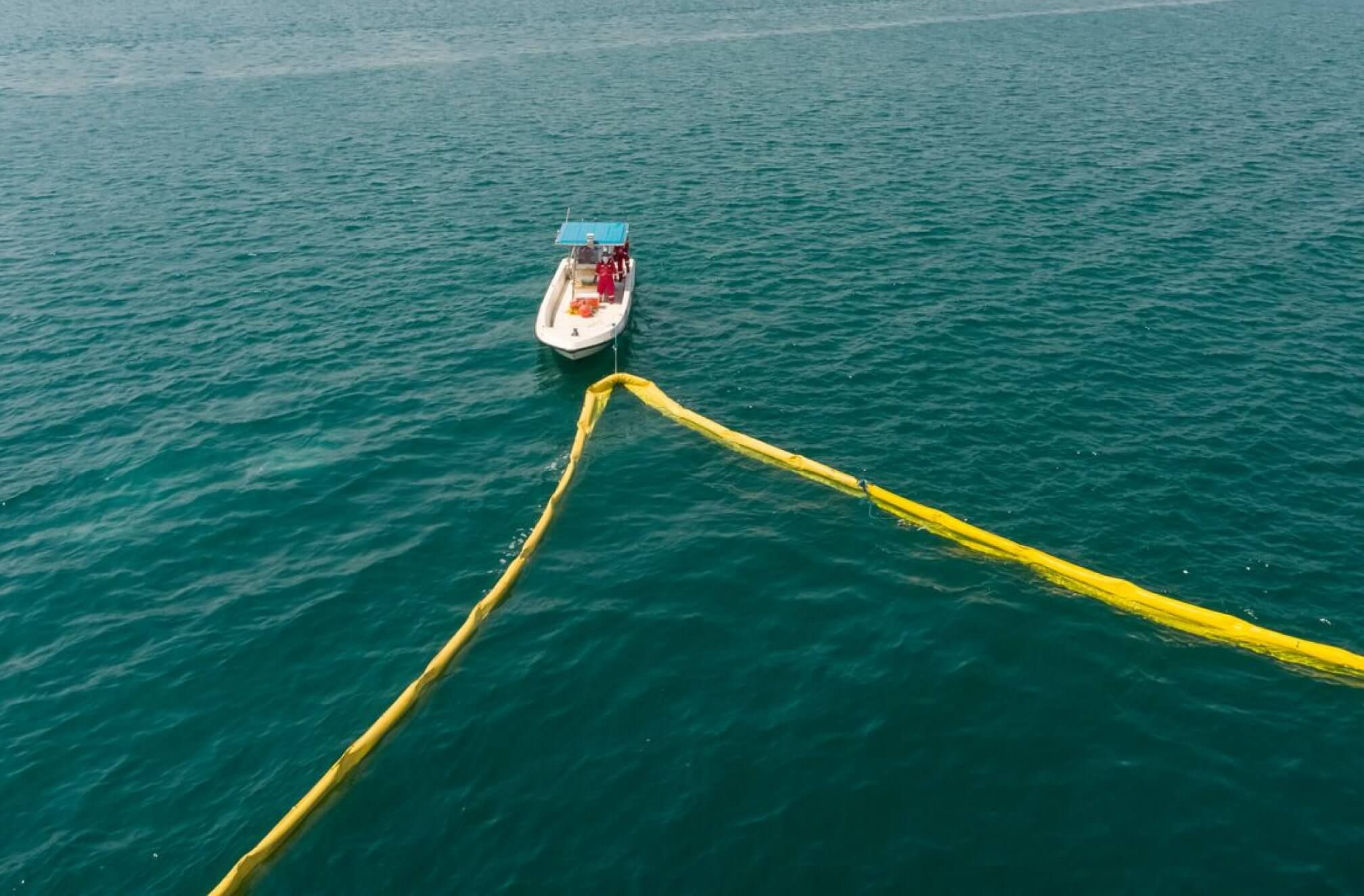 Conserving Marine Biodiversity